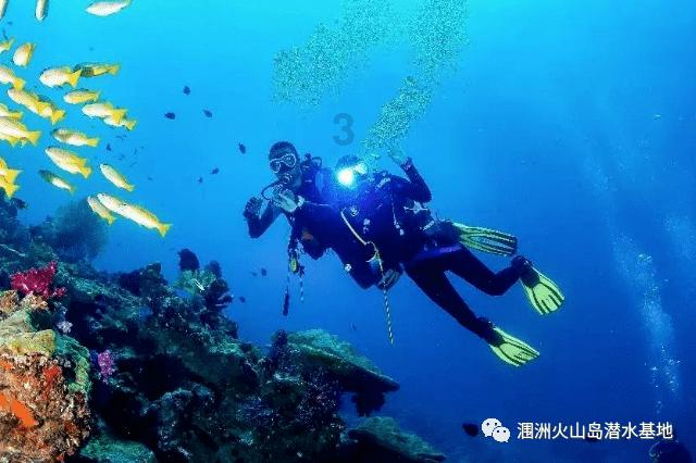 中卫市农民艺术家风采展暨春雨工程主题活动启动